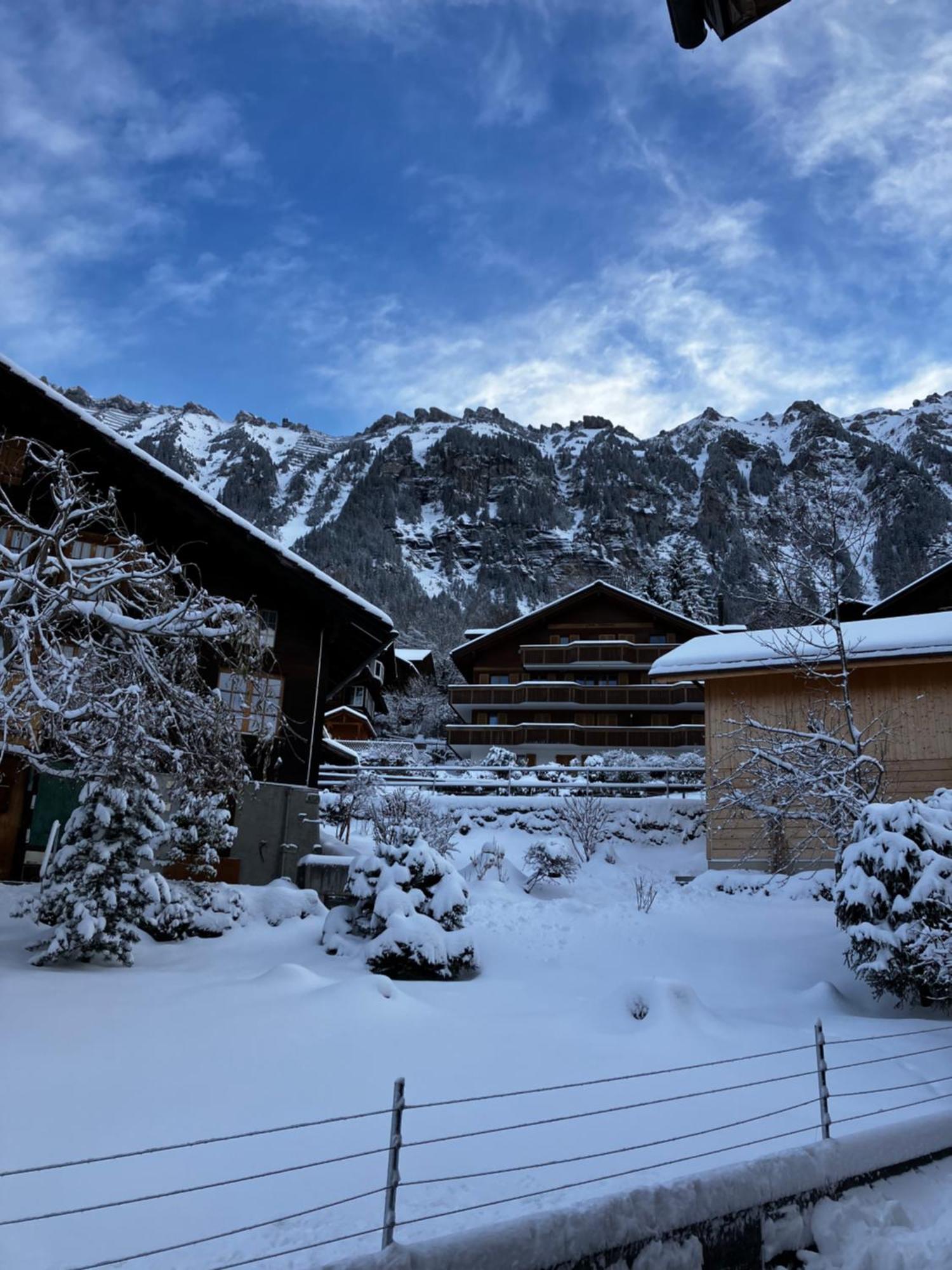 Chalet Alpina Gyger Wengen Exterior photo